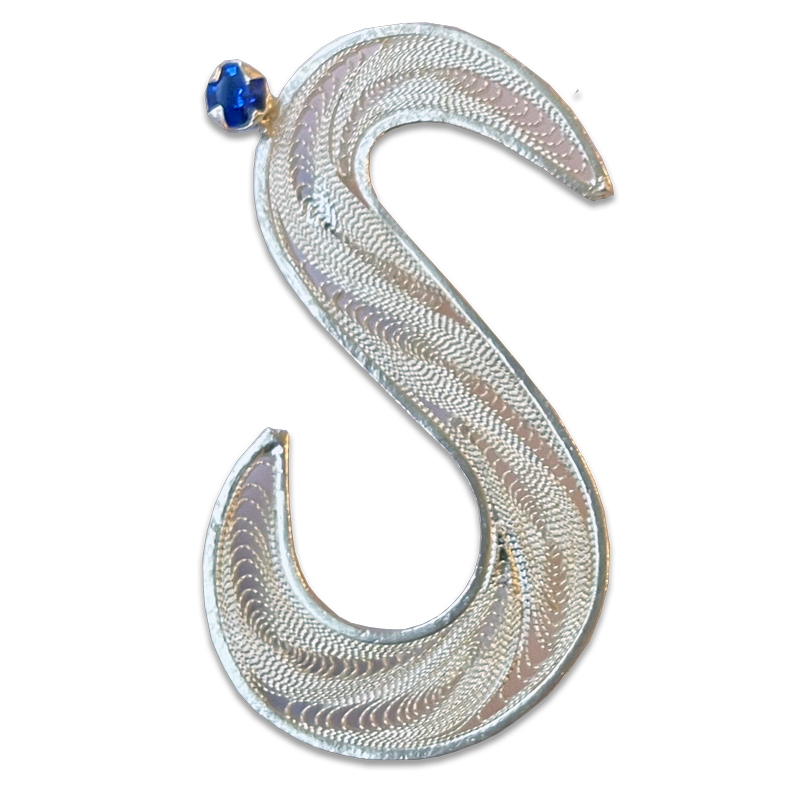Silver S Pin